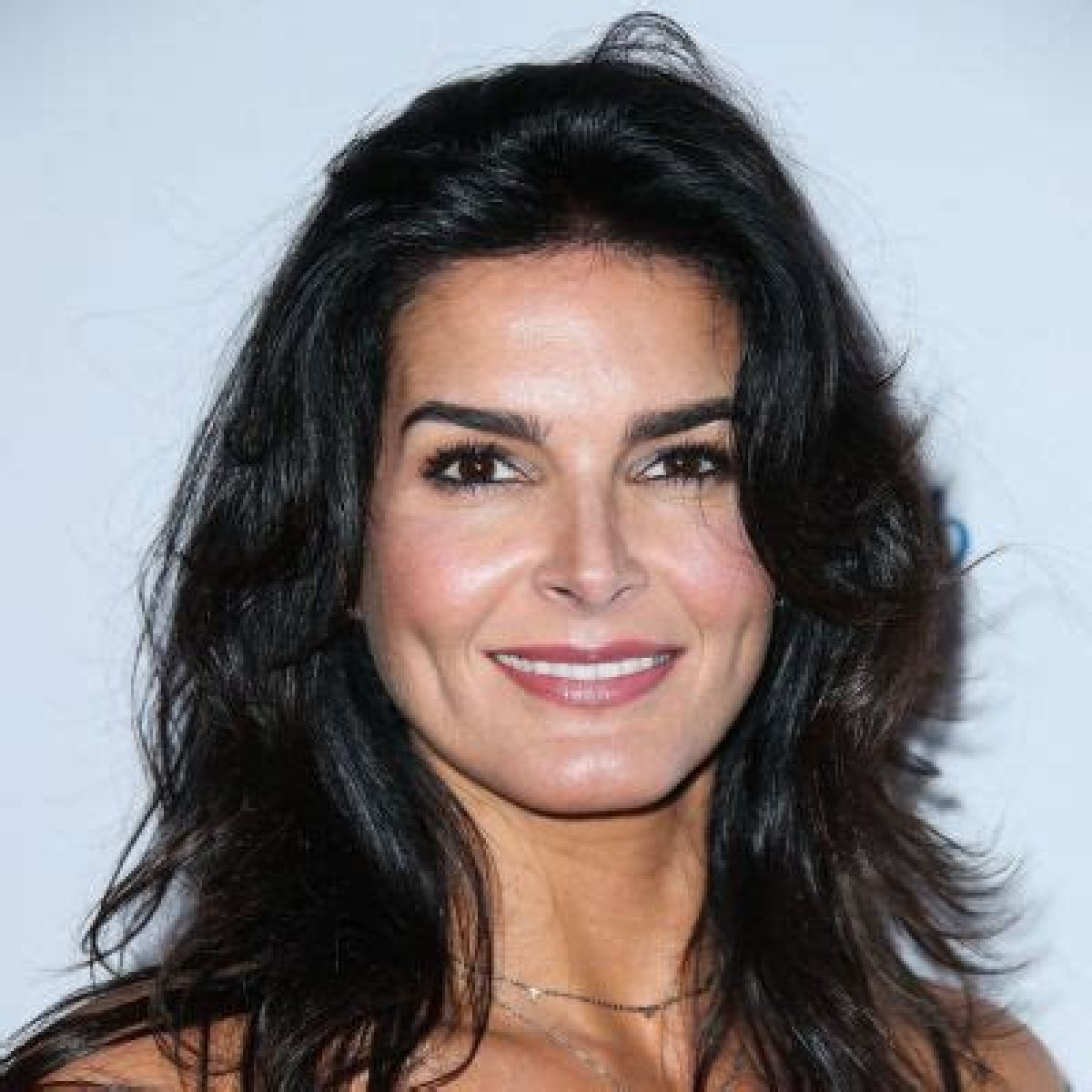 Angie Harmon Net Worth Age Husband And More
