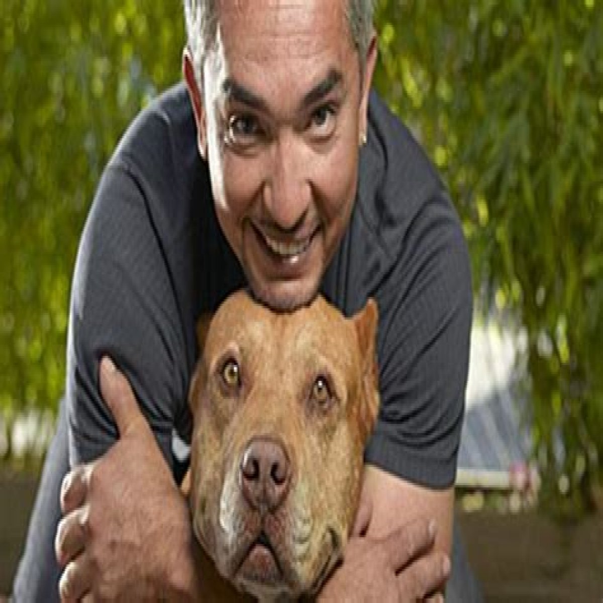 Cesar Millan Pets - Celebrity Pets