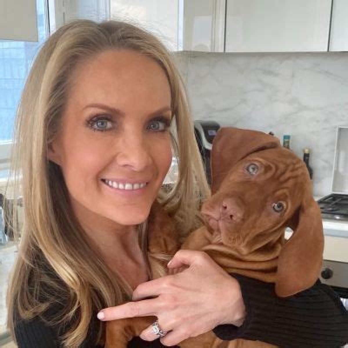 Dana Perino Health Issues | What Happened To Her | Illness And Her Career