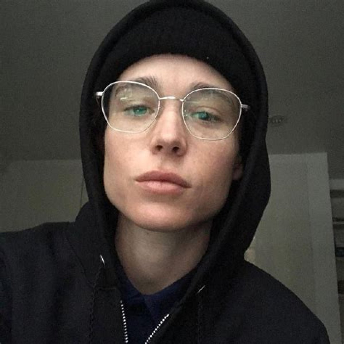 Elliot Page Wiki, Biography, Age, Height, Family, Wife & Net Worth