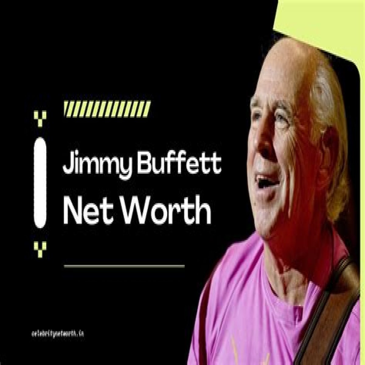 Jimmy Buffett Net Worth | Celebrity Net Worth