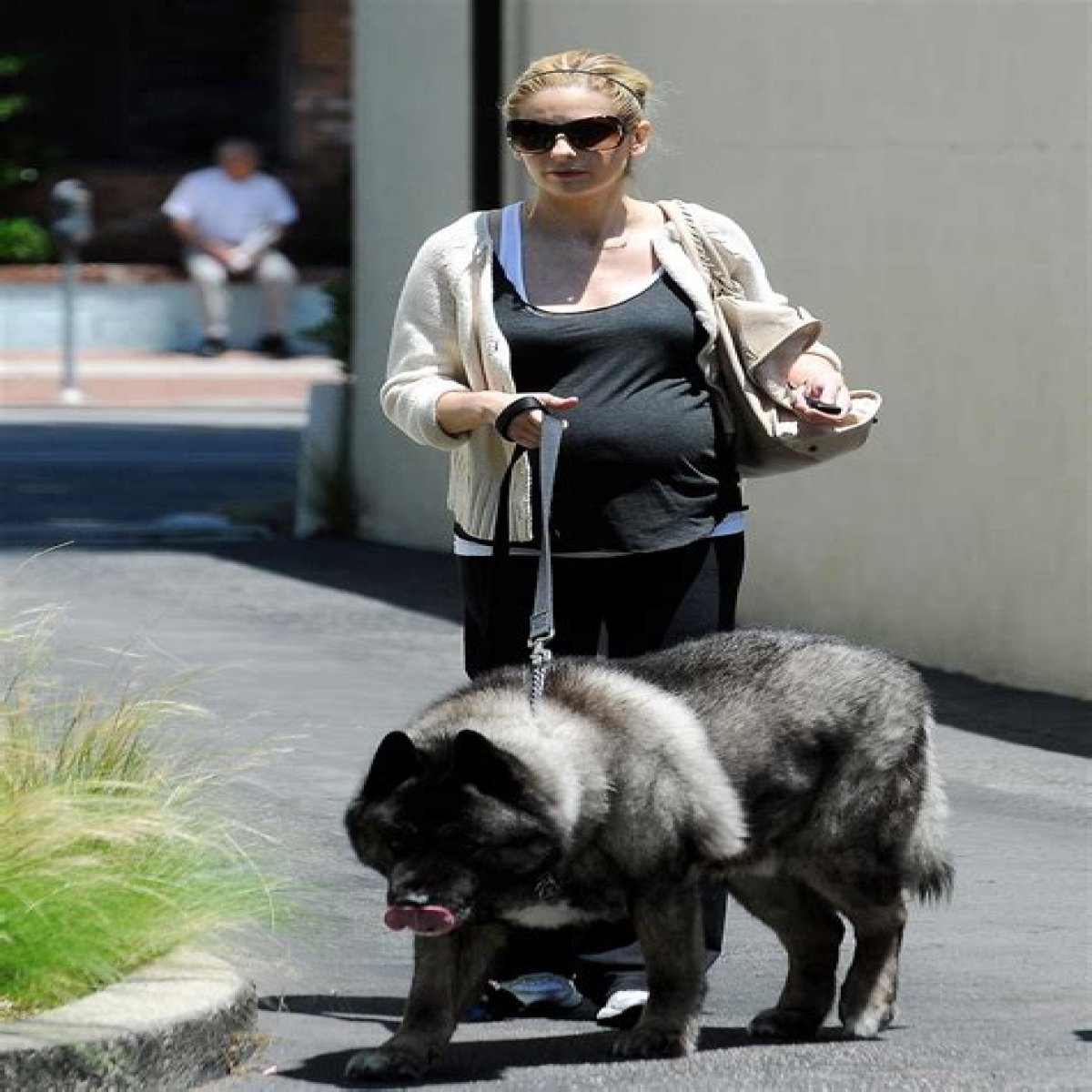 Sarah Michelle Gellar Pets - Celebrity Pets