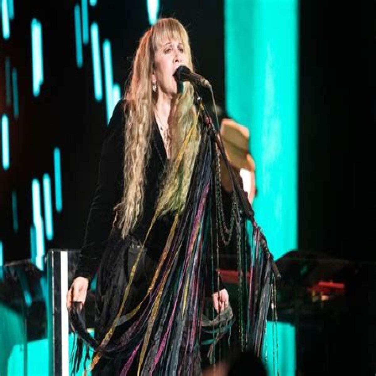 Stevie Nicks Age, Height, Net Worth, Relationship, Boyfriends